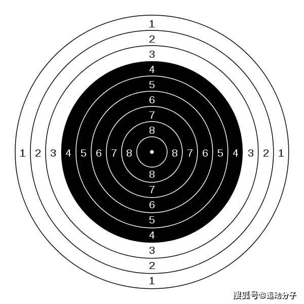 和很多人想象的不同奥运射击选手其实压根看不清靶子的环数