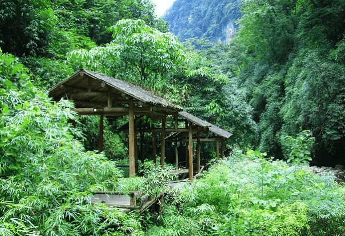 万盛黑山谷南天门避暑房成重庆旅游大热门,坐拥万亩森林,草木入眼