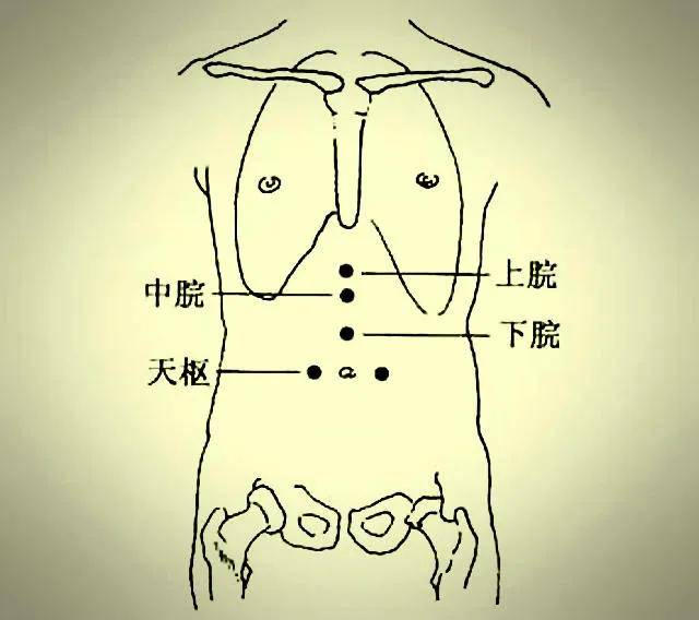 尚可宽胸利膈,治疗上焦气机不利等症; 中脘:重在和胃理气,在健脾和胃