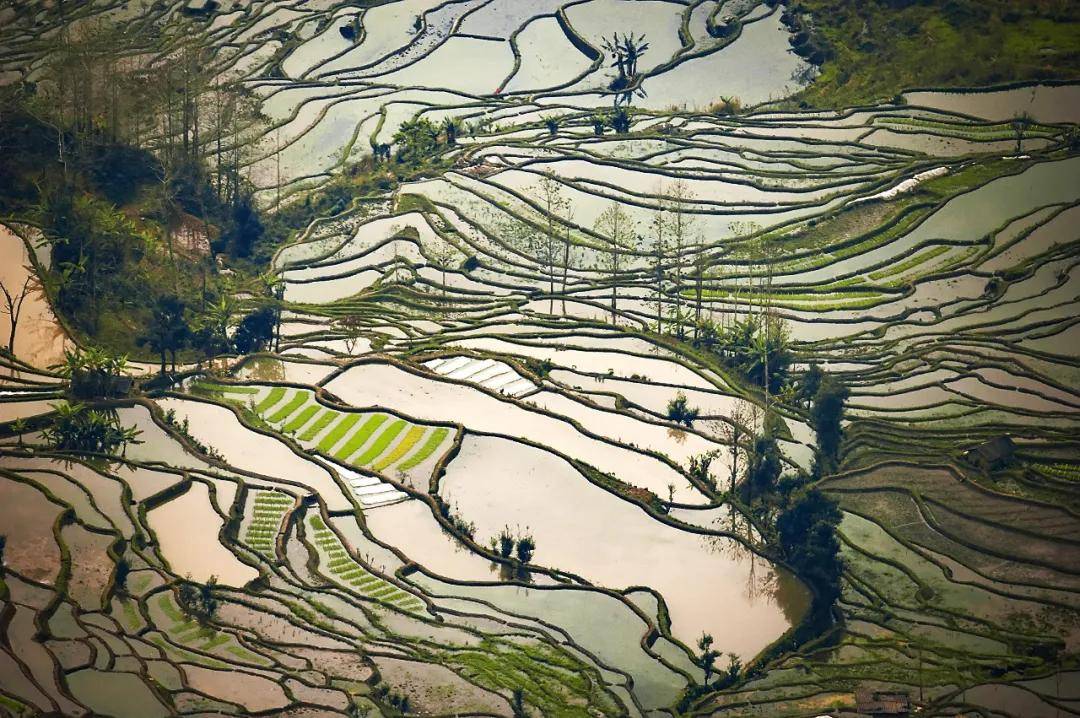 世界遗产在中国最美的山岭雕刻红河哈尼梯田文化景观