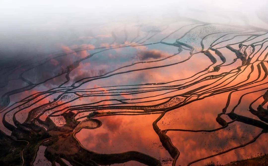 世界遗产在中国 | "最美的山岭雕刻"红河哈尼梯田文化景观