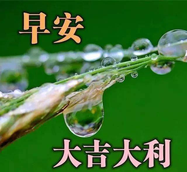 8月5日最闪亮阳光暖心的早安问候图片带表情,早上好温馨祝福语句子