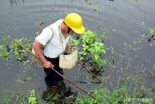 原创这十三种渔具和部分渔药早己被禁用,为何禁而不止?渔人贪婪造成