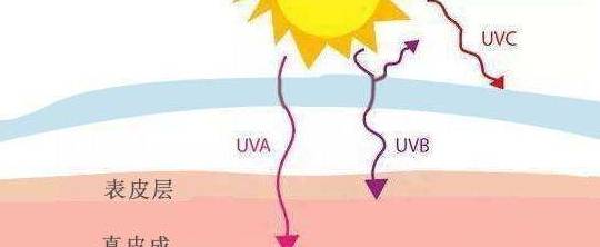 原创紫外线能够通过直接照射皮肤的方式进行消毒吗?专家:不可行!