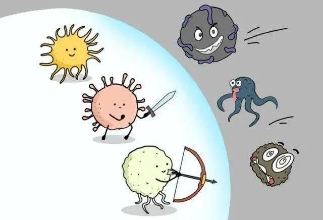 免疫细胞也会"疲劳",为了人体健康请善待它们!