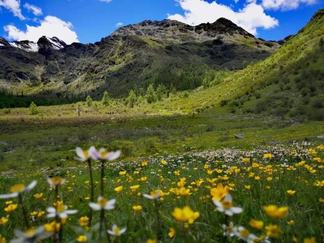 梦笔山距马尔康县城30公里,位于卓克基乡南与小金县交界处,呈东西走向