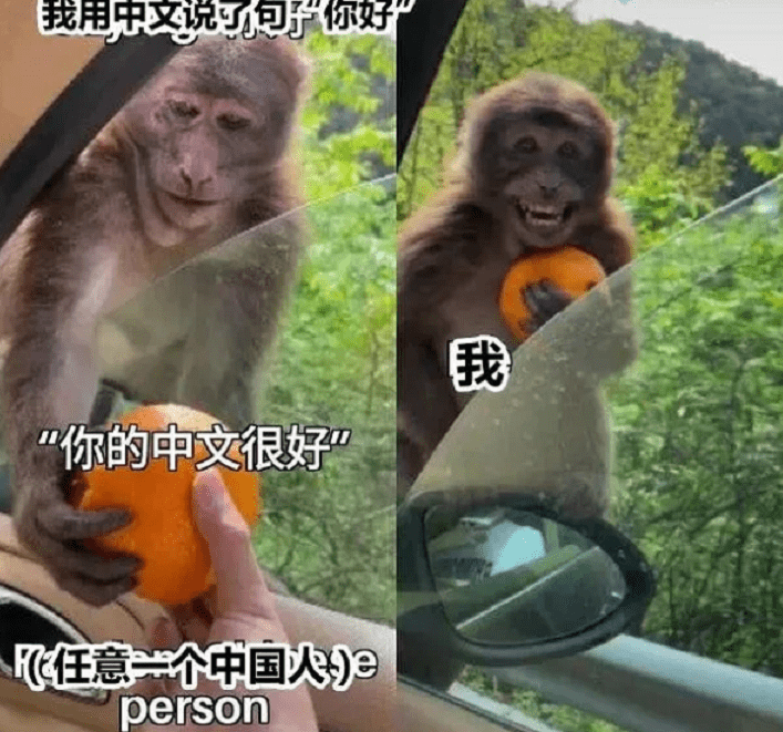 原创外国人用"梗图"吐槽中文,难学等级10颗星,看后却有些心生怜悯