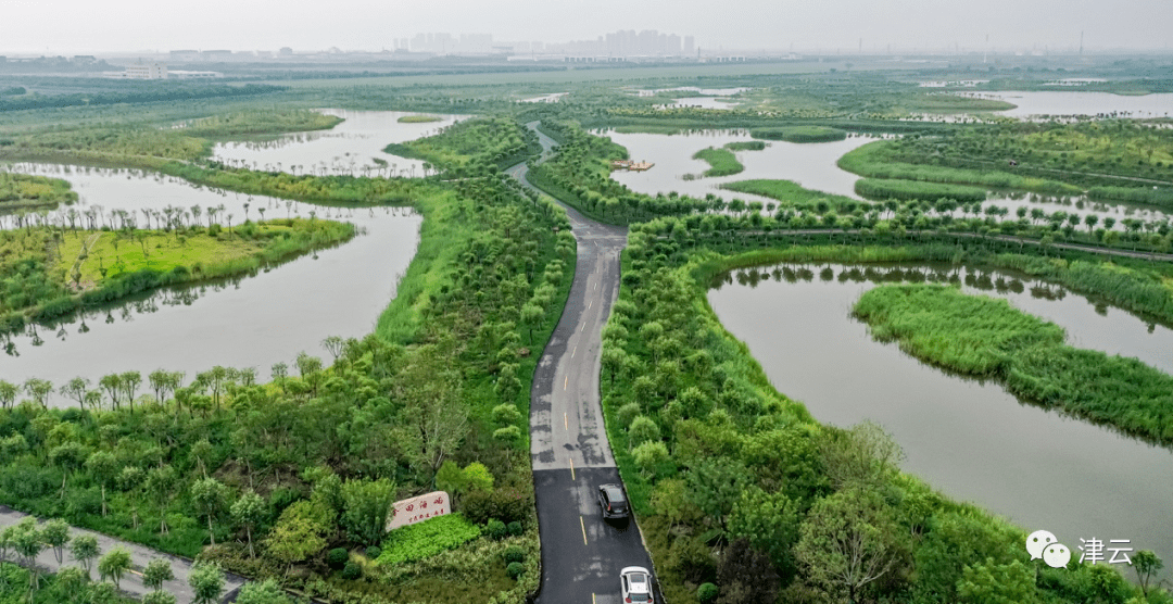 又一条城市生态绿廊,津城上新了!_屏障