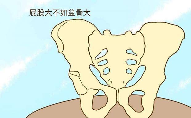 顺产容不容易是看盆骨的宽度,盆骨宽的女性看起来屁股比较大,但是屁股
