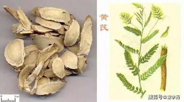 一,中药材黄芪包括哪些植物根据《中国药典》1995年版一部规定,黄芪