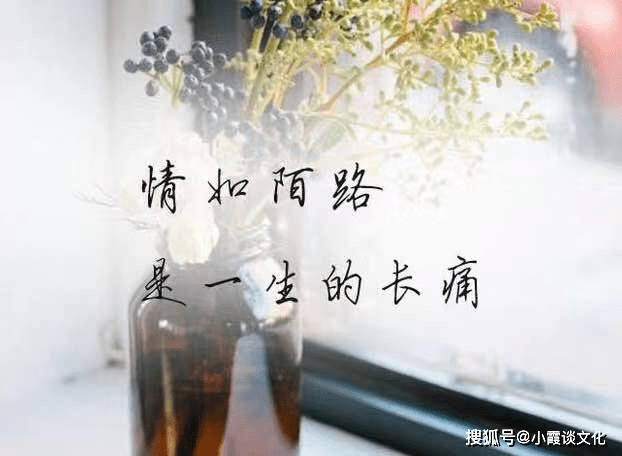 被耍了心情不好的说说,句句心酸无奈,送给心灰意冷的你