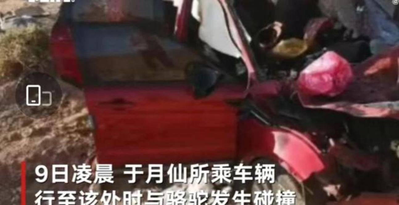 原创谢大脚于月仙车祸现场太惨烈目击者称遍地骆驼内脏