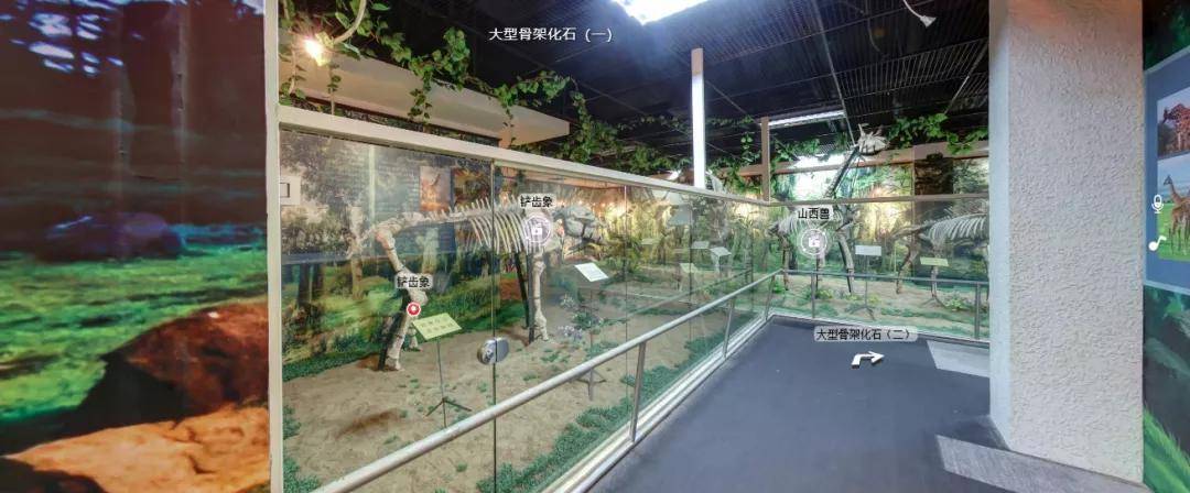广州科普一日游科普单位介绍07金山地质博物馆