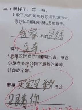 原创小学生耿直的试卷,看到答案后老师哭笑不得,网友:真是个狼人!