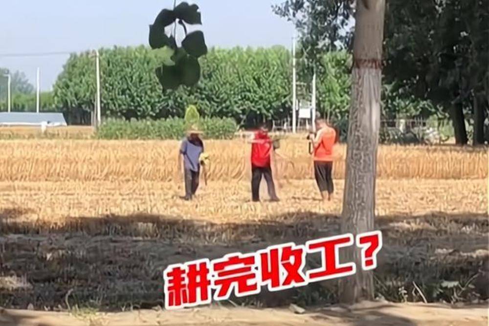 原创山东一志愿者帮农民耕地,拍完照片立马收工,网友:各地都一样