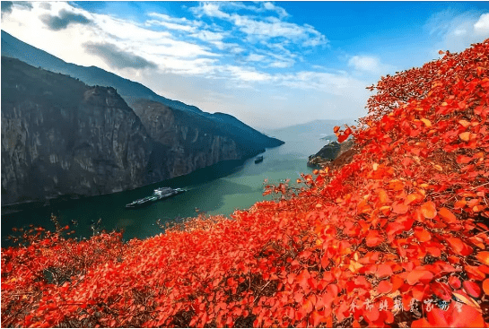 三峡秋摄三峡红叶巫山神女峰瞿塘峡夔门白帝城三峡之颠7日红叶摄影团