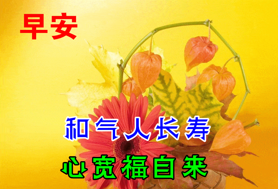 4,每当黎明的太阳升起,美好的一天又开始了!