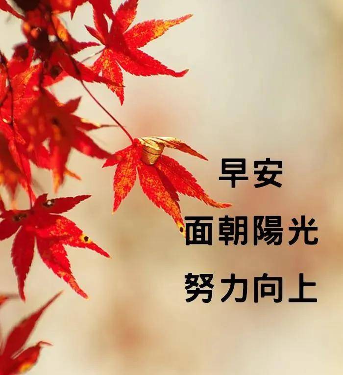 8张最美秋天风景早安早上好图片带祝福语 好看的早上好问候祝福语风景