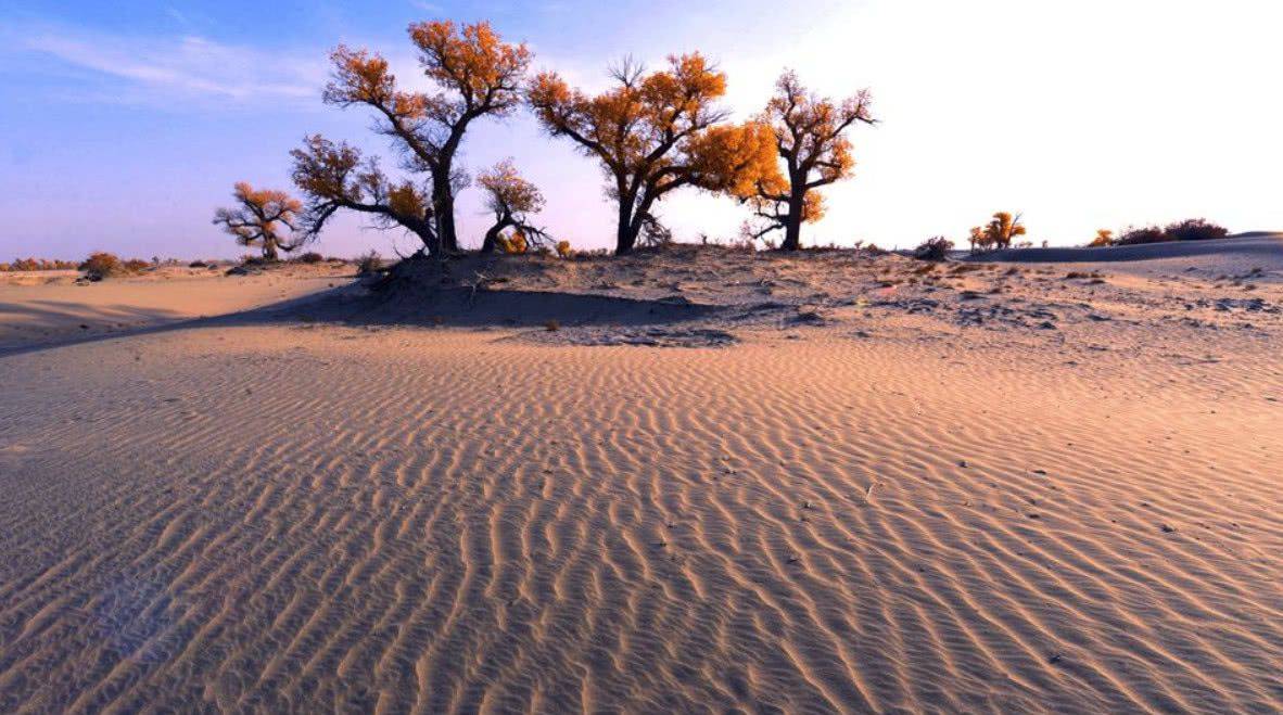 原创塔克拉玛干沙漠突发洪水,沙漠或变绿洲,西北有望宜居么?