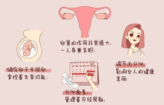 武汉仁爱医院专业妇产科:卵巢早衰不单单导致月经紊乱