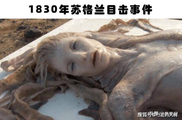 美人鱼真的存在吗盘点世界各地关于美人鱼的7个目击事件