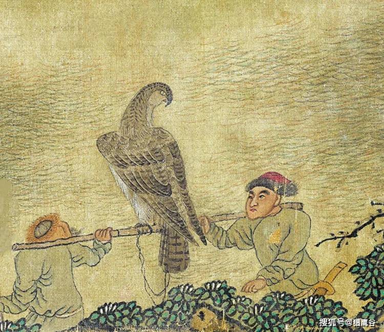 猎鹰谷文化漫谈纳西族鹰猎文化历史渊源