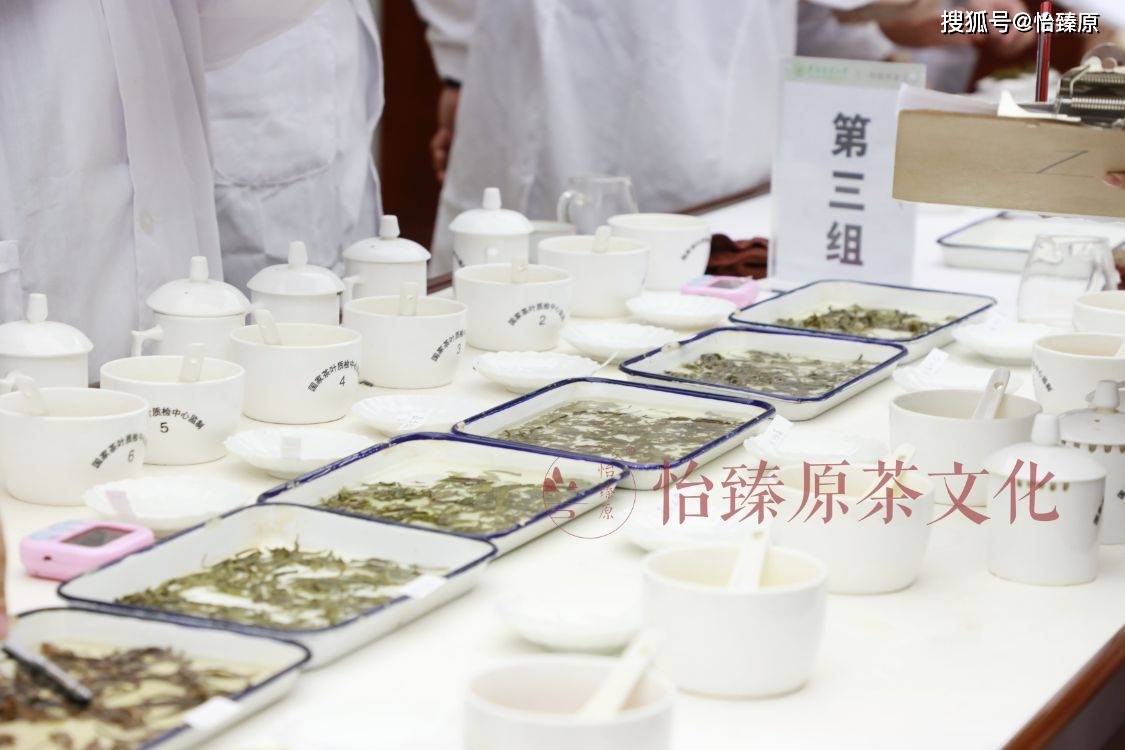 绿茶科普喝茶时常用到的评茶术语爱茶人必备知识