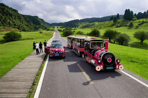 百车自驾仙女山最美公路 沿途风景令人陶醉_武隆仙女山