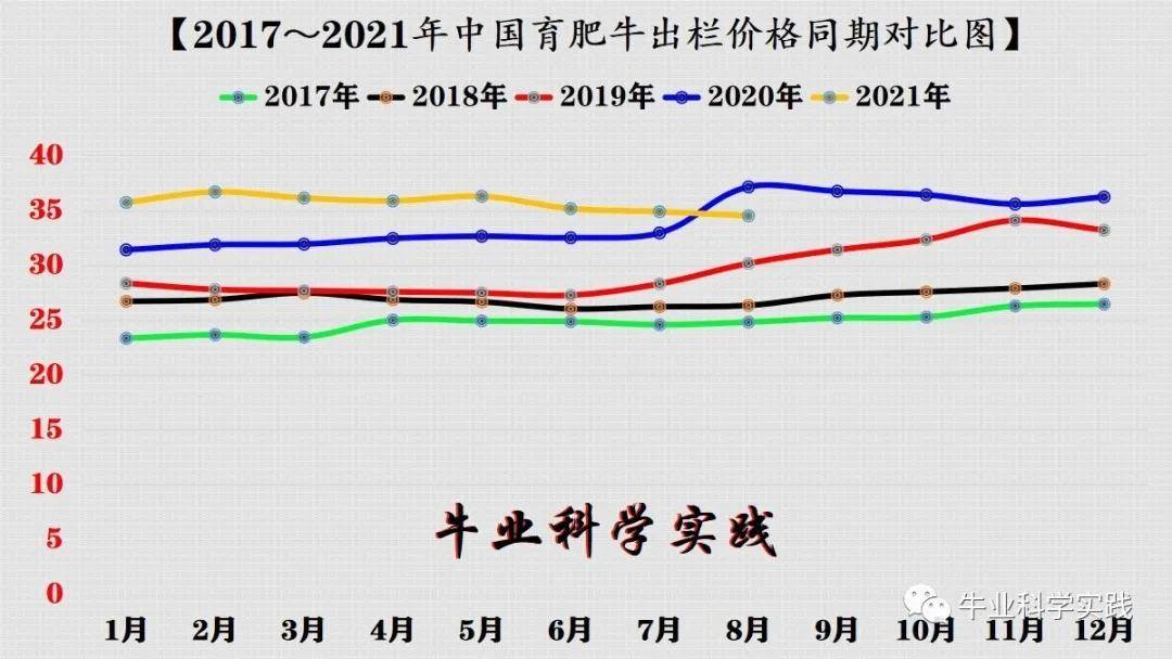 2022年肉牛价专家预测