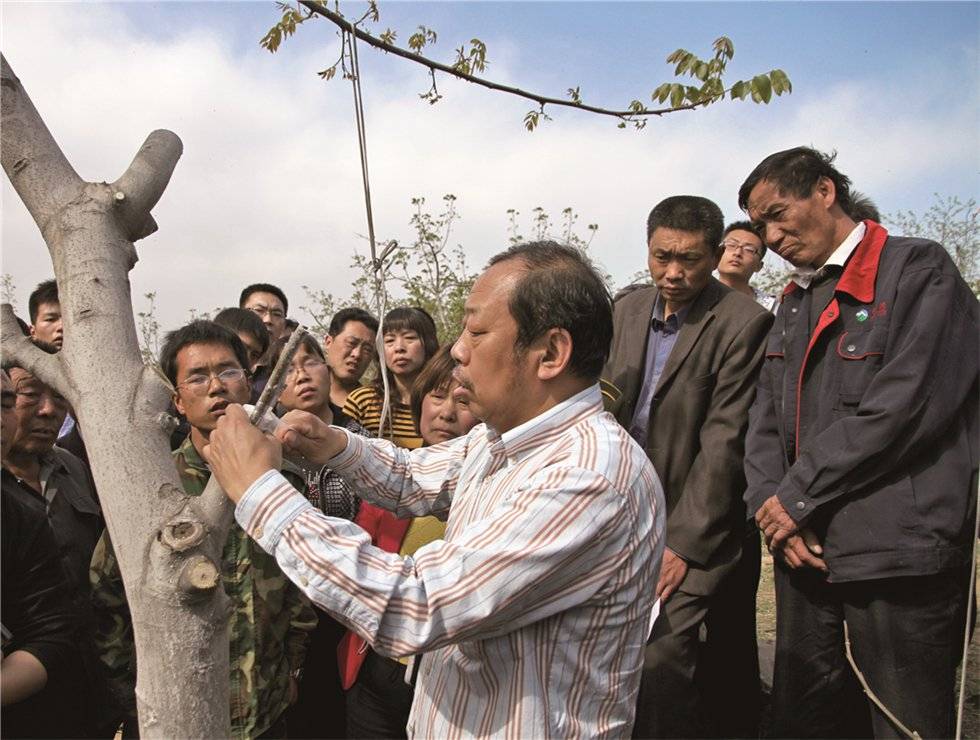 原创作文:李保国教授,我想对你说