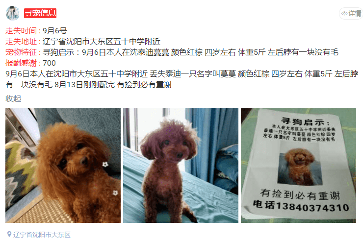 [寻猫寻狗团队]09月15日猫狗走失信息