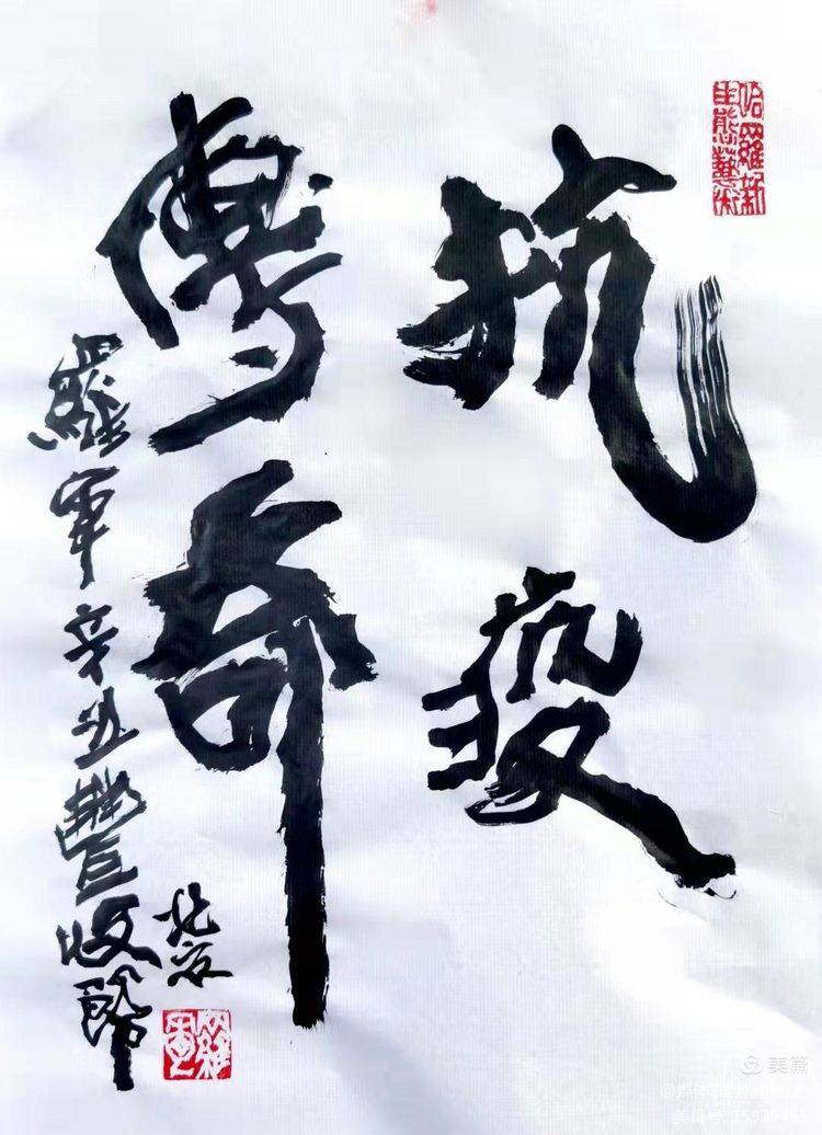 罗军书写"抗疫传奇"