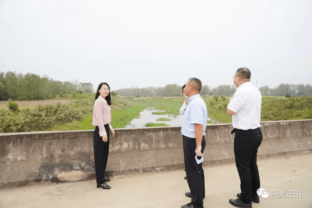 焦中丽到清水河开展巡河调研活动