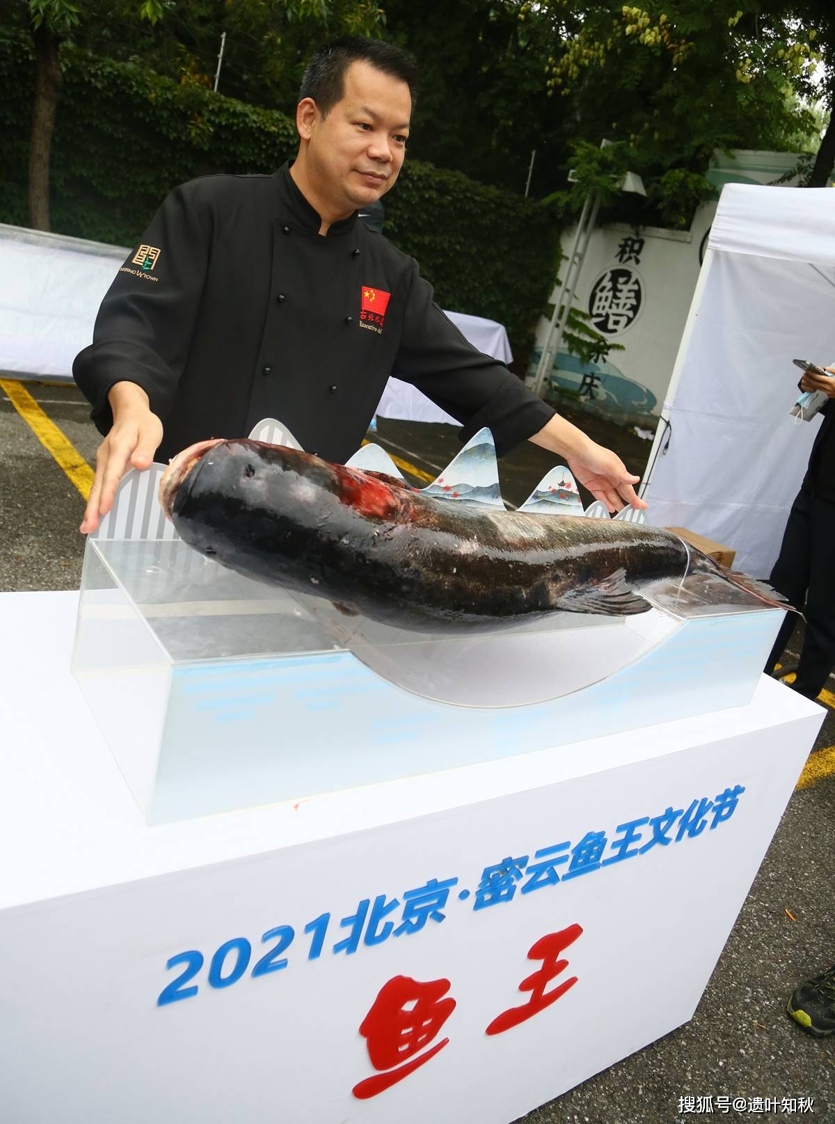 第十八届北京密云鱼王文化节开幕 鱼王以竞拍价35万余