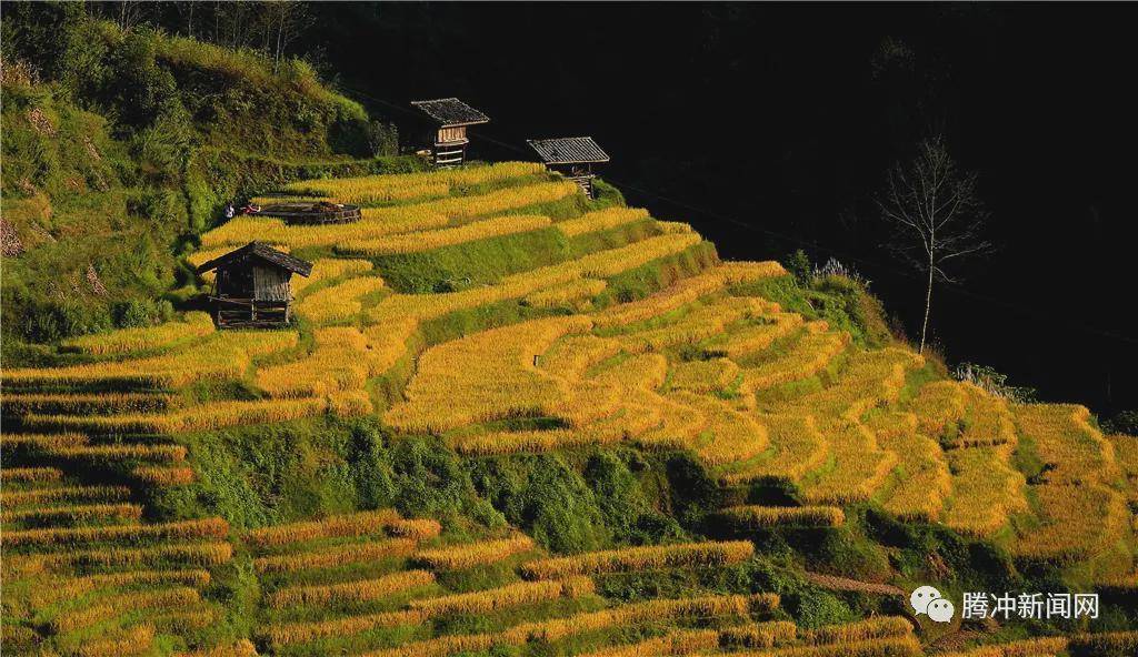 云南腾冲:一林秋色天地远