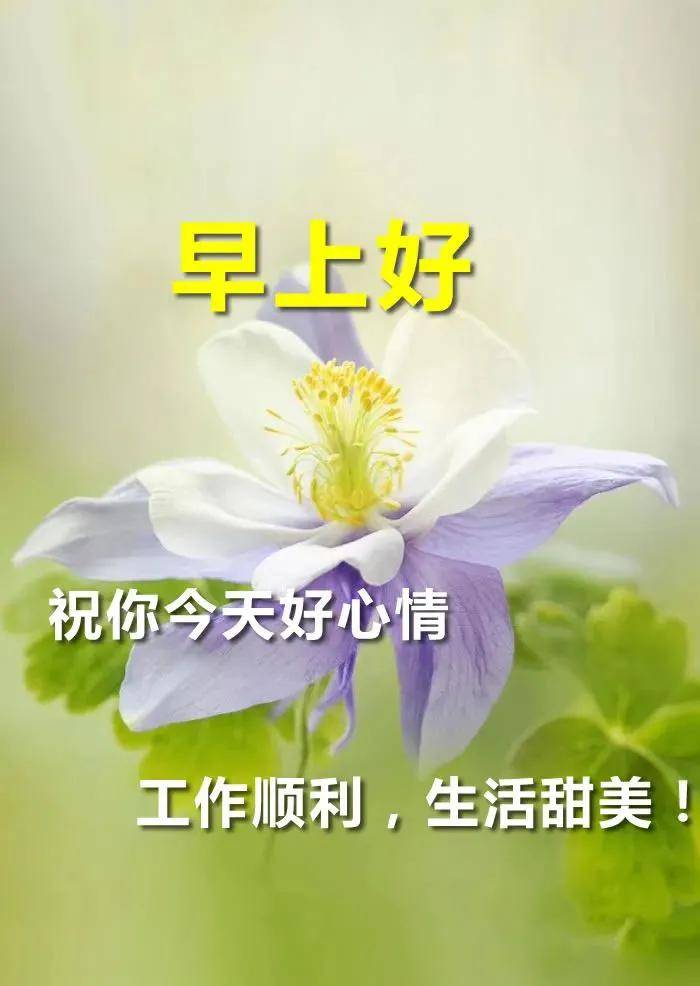 原创10月6日周三早上好动画图片大全 亲爱的早上好问候语及关心话