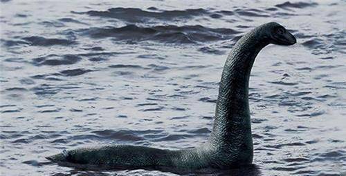 不过一些科研人员根据目击者描述,对比老旧照片后认为大海蛇是一只