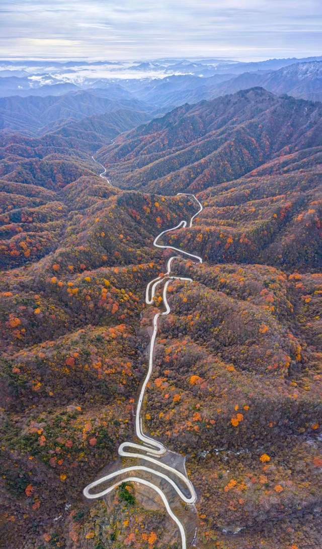 金秋十月秦岭风景廊道万山红遍留坝红叶奇幻游拉开帷幕