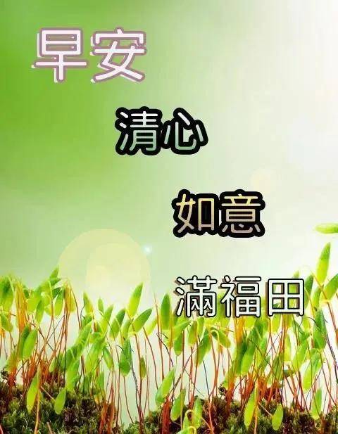 早上好问候图片动态表情 2021最新最美早上好祝福动图大全