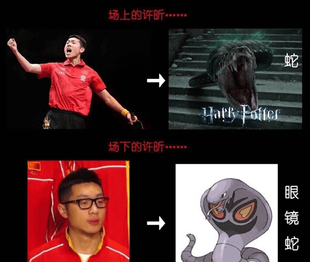 国乒绰号的由来獒龙蟒大小胖大头小枣林妹妹