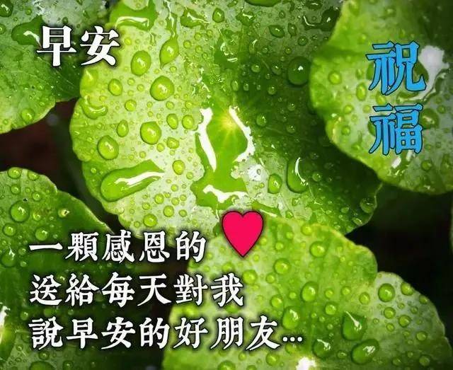 原创10月22日最漂亮的早安图片祝福动态表情清晨阳光暖心早安问候语录