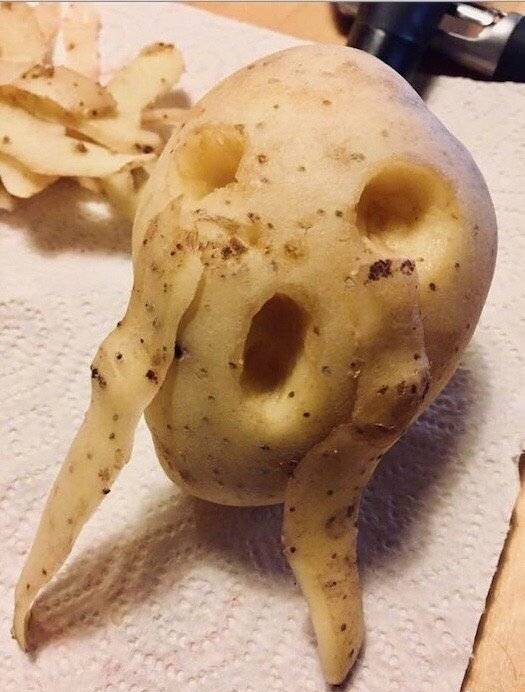 原创蔬菜的名场面我画的都没它们长得好太搞笑了哈哈哈