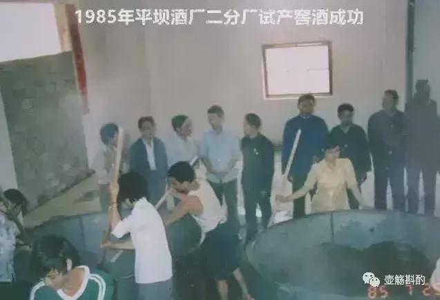 传奇的平坝酒厂一座小城的时代符号从1952到2019再造辉煌