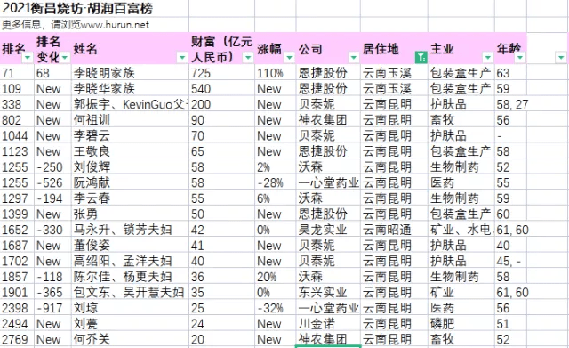 云南省富豪排行榜榜单公布云南首富是他家