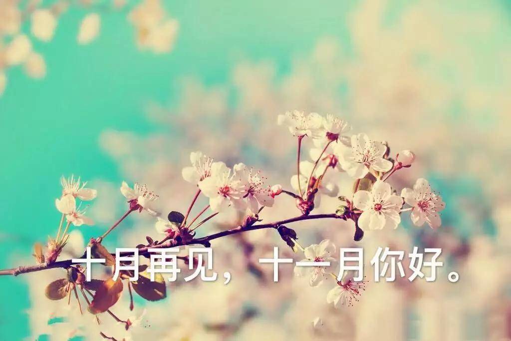十月再见十一月你好唯美图片励志语录 11月你好励志