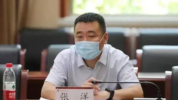 为他人在教师入职等方面谋取利益,北京市教委原副主任张洋被"双开"