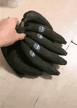 搞笑gif趣图:不走寻常路的参赛者!从那个小伙那么着急