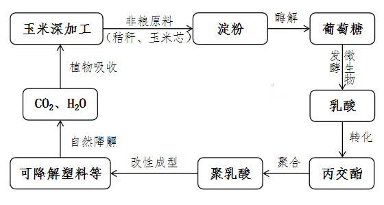 原创新版"禁塑令,促可降解塑料替代进程加快!