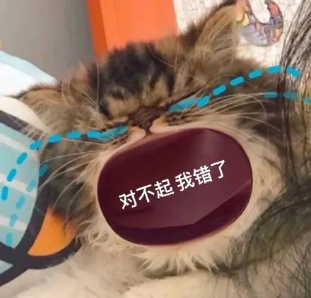 猫咪张大嘴哭大嘴猫表情包