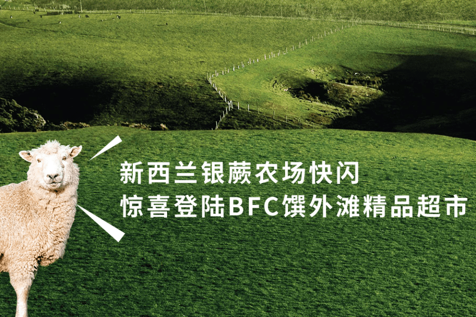 新西兰银蕨农场快闪登陆bfc,一同来感受跨越空间和的